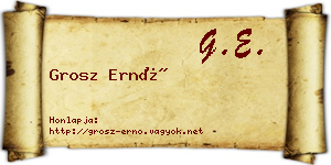 Grosz Ernő névjegykártya
